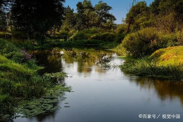 一个小气的人，会有这四个特征，往往会福浅命薄