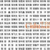 起名字典_起名字的笔画要按照什么字典正确_第一起名字典