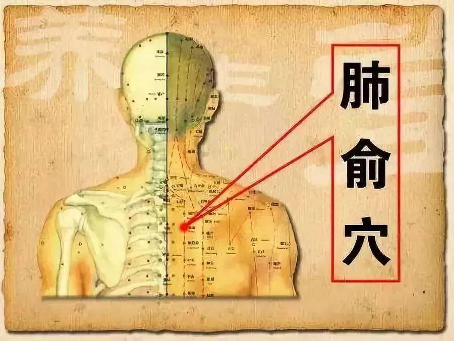 脸上长痘对应内脏_手掌对应内脏_耳朵对应身体哪个内脏