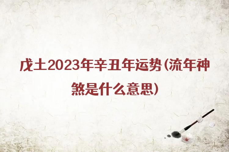 戊土2023年辛丑年运势(流年神煞是什么意思)