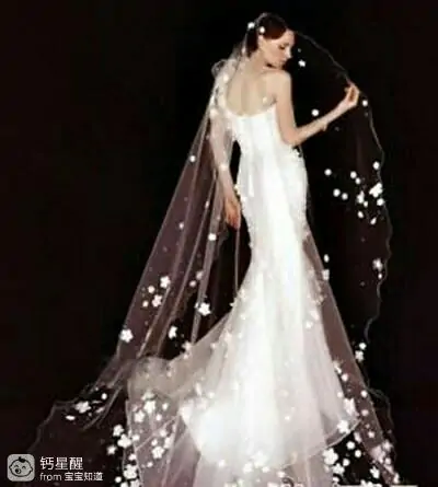 12星座婚纱水晶鞋图片_冬季婚纱伴娘礼服图片_各种星座的婚纱礼服