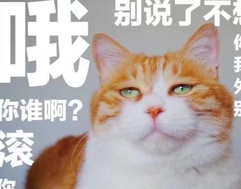 宝宝取名大全_给宝宝取名_宝宝取名大全猴宝宝