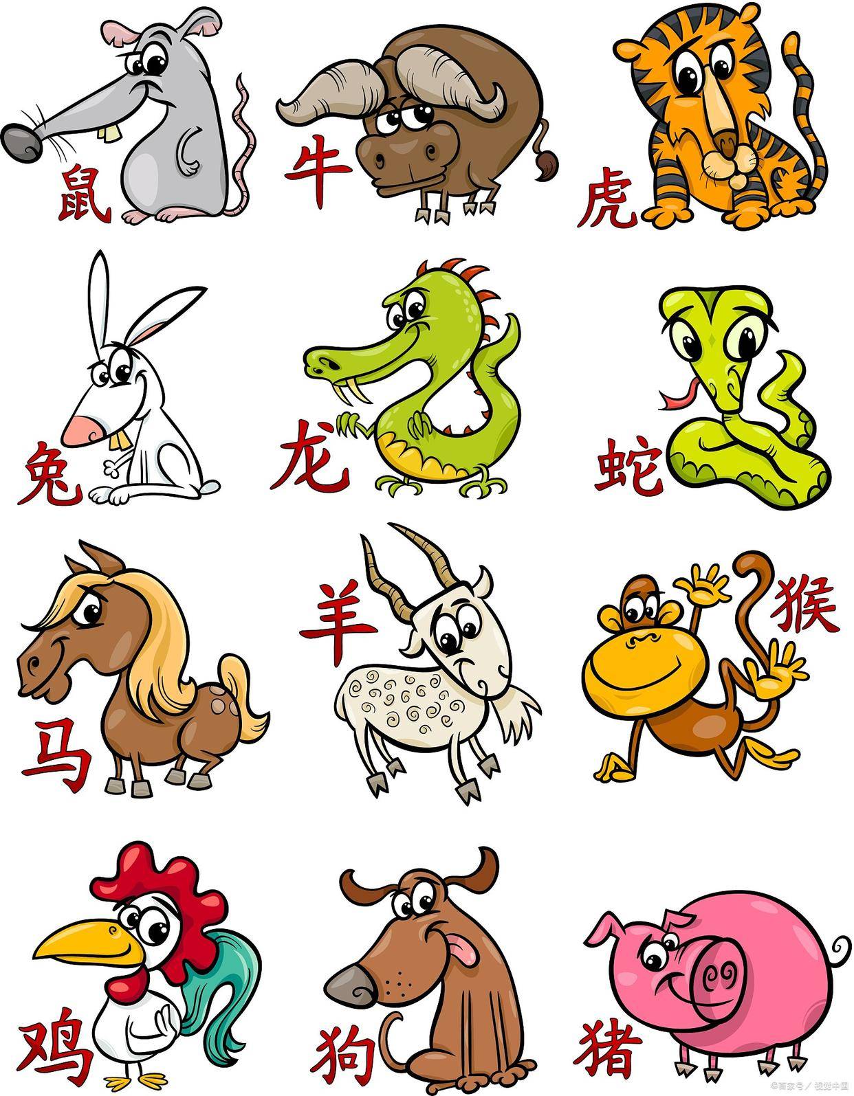 中国传统文化——“十二生肖”