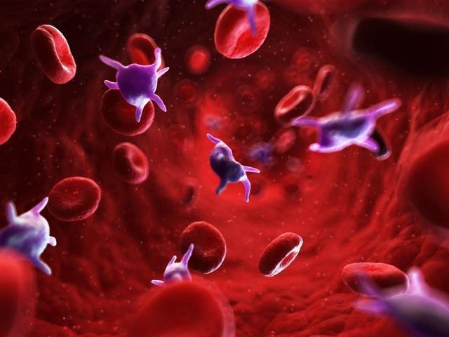 血型能看出“健康”和“寿命”？A型、B型、O型、AB型，哪种最好
