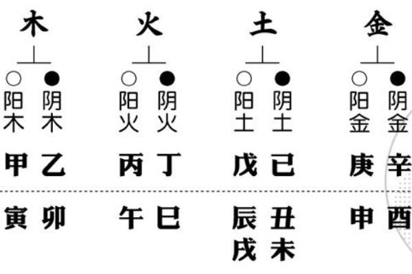 2021年11月25日6点出生 八字算命