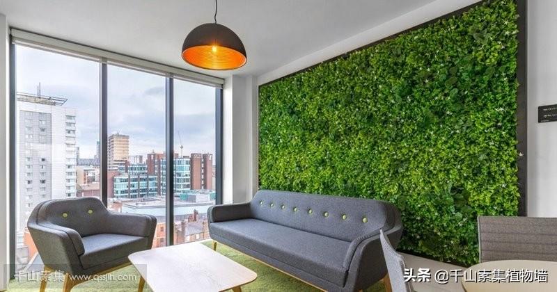 办公室植物墙，如何改善办公环境的？