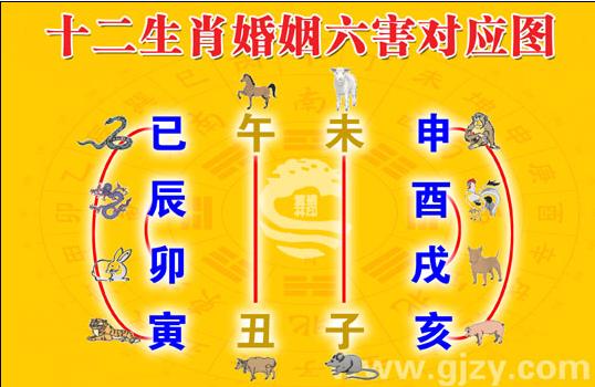 夫妻八字合不合算命_八字合盘中天干地支合_夫妻八字合不合查询表