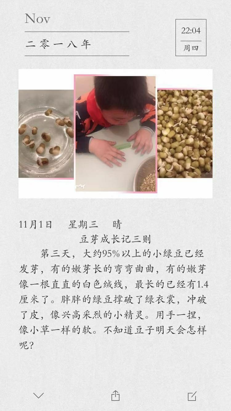 绿色豆芽是什么菜_梦见绿色豆芽_孕妇梦见豆芽