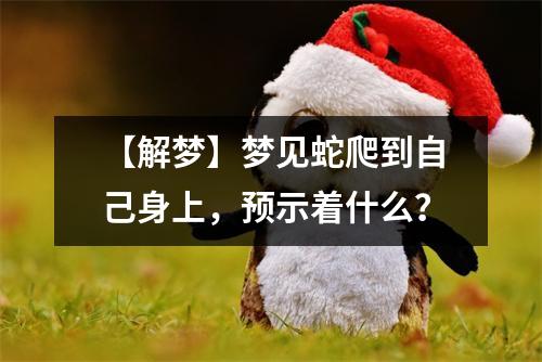 【解梦】梦见蛇爬到自己身上，预示着什么？