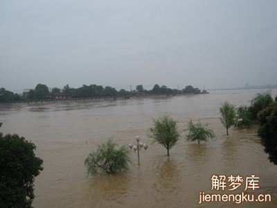 梦见下雨到处涨水