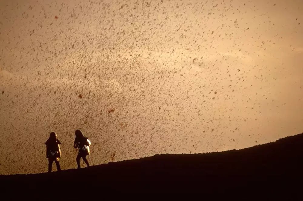 意大利超级火山8级爆发_智力火山再次爆发_梦到火山爆发