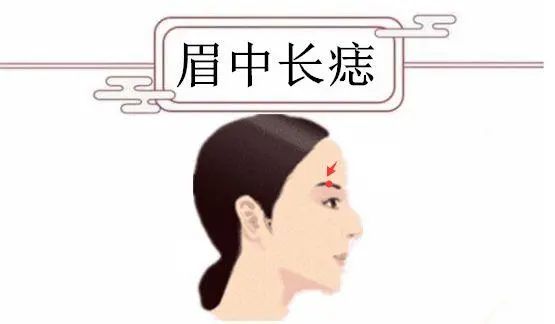 女人鼻子相学图解_女人相学眉毛全解图_女人痣相学