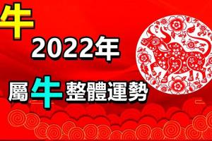 2,年必生儿子的属相:年家里必定添丁的生肖女