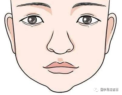 面相学教你如何看女人的鼻子以及类型
