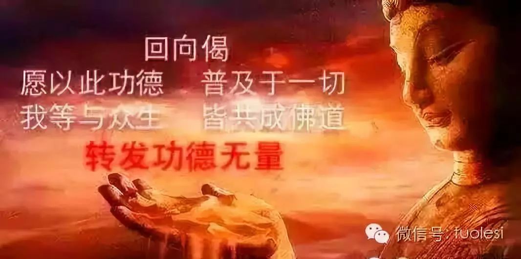 阿旺上师开示 丨 弟子集中问答篇