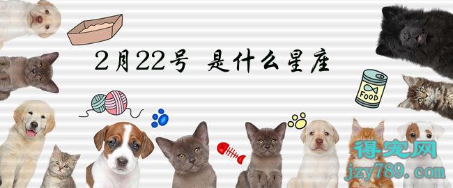 农历3月3是i什么星座_1985年农历11月8日是阳历多少,星座是什么_3月22日是什么星座