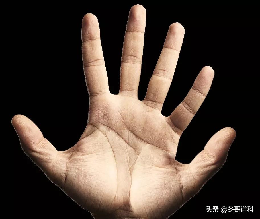 如果我们的手有6个手指呢？