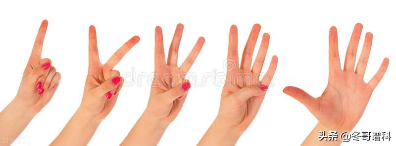 如果我们的手有6个手指呢？