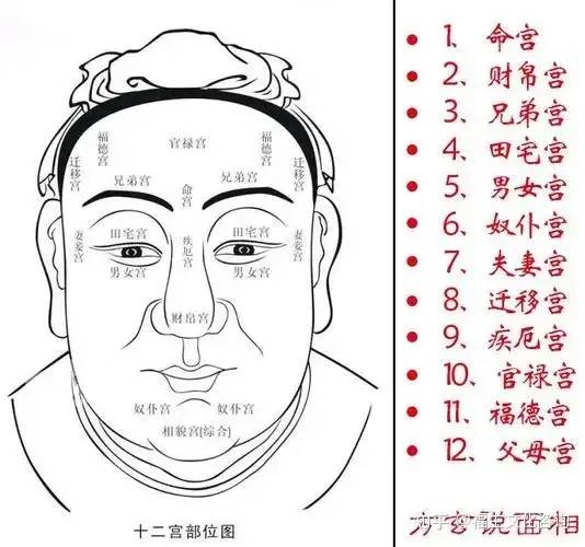 怎样看面相_看男人的面相_看女人面相算命图解有钱人