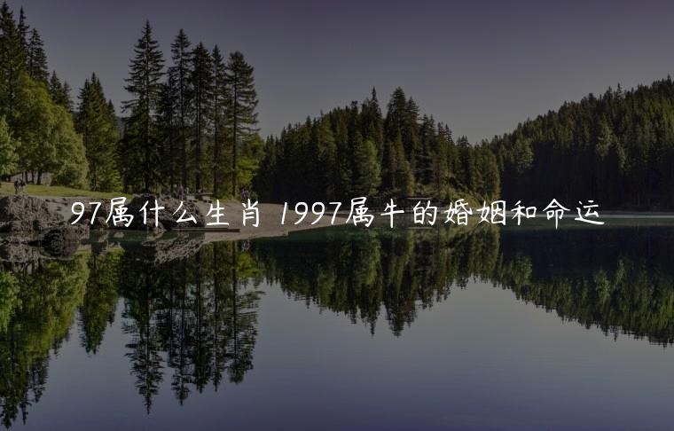 97属什么生肖 1997属牛的婚姻和命运