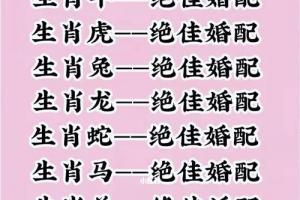 十二生肖属相更佳婚姻婚配表上