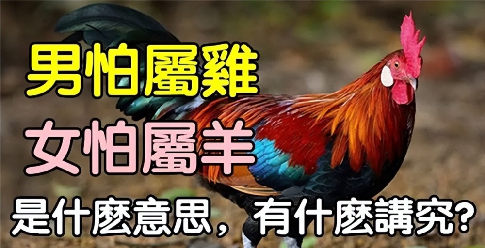北京兼职女鸡微信群号_鸡女_鸡和羊相配婚姻如何女鸡男羊