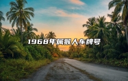 1968年属猴人车牌号 什么车牌号受欢迎