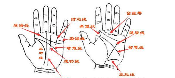 周易命理师傅手纹掌纹学问大，正确认识手相的完整介绍