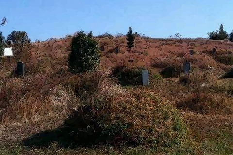 坟地风水图解_平原田间坟地风水改造图解_怎样看坟地风水