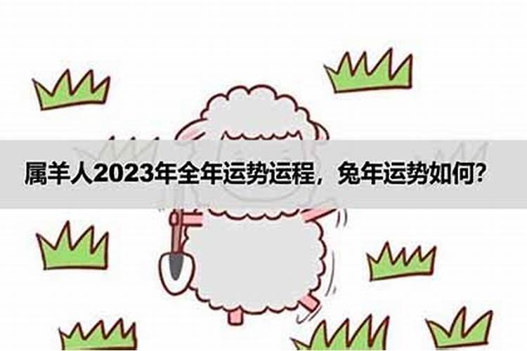 2023年属羊人全年运势，属羊人今年犯太岁会怎么样呢