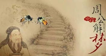 梦见许多蜜蜂什么预兆(梦到蜜蜂周公解梦)