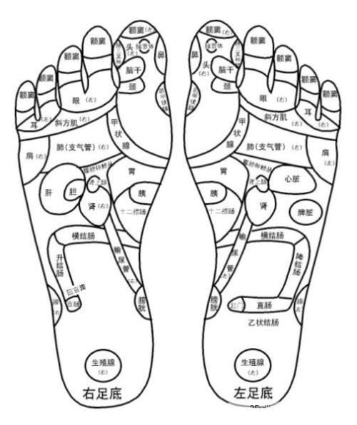 怎么样从脚底下排出身体里的毒素_脚底有痣到底好不好_脚底下有痣