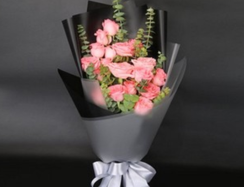 19朵粉色玫瑰花代表什么意思 第一次送女孩花应该送几朵0