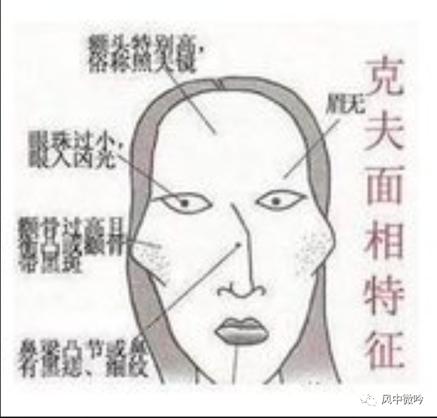 羊属十二生肖之意_属羊的女人_啄羊鹦鹉属