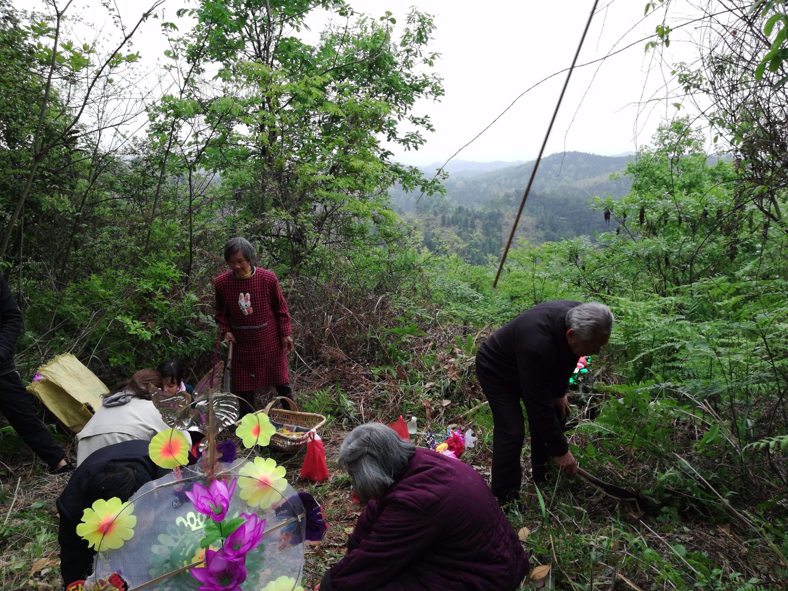 清明节禁忌_都江堰清明放水节门票_清明祭祖时间禁忌