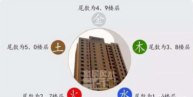 盐城市市政府办公室副秘书长_属猪办公室风水布局_办公室风水植物大全,办公室风水植物布局知识