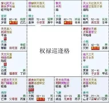 紫微白娘子斗数专版_紫微命盘紫微_紫微斗数