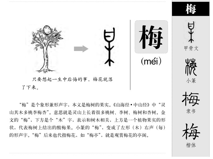 舒字的部首_舒字_舒字的笔顺