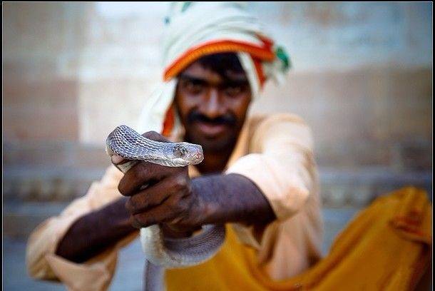 巴基斯坦“蛇人”男孩不会捕蛇不能结婚
