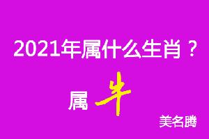 2023年属什么生肖2023年属牛