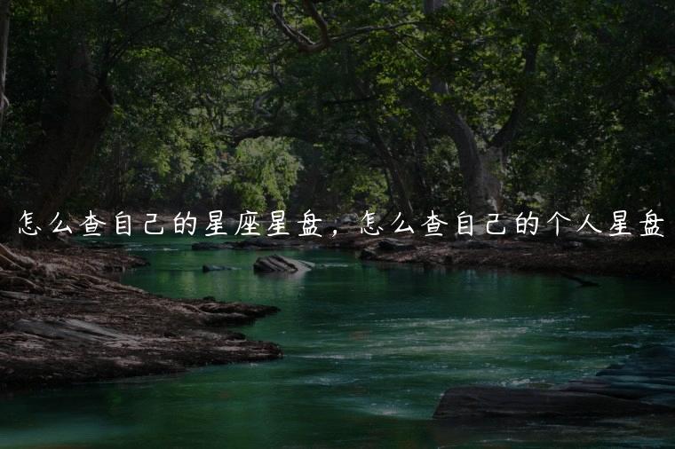 怎么查自己的星座星盘，怎么查自己的个人星盘