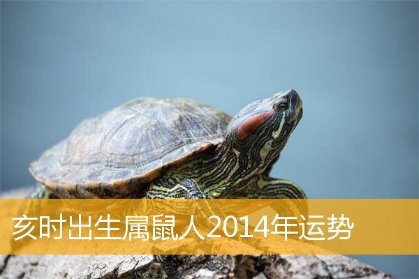 运势2022年运势详解_2022年运势及运程_运程运势2021年