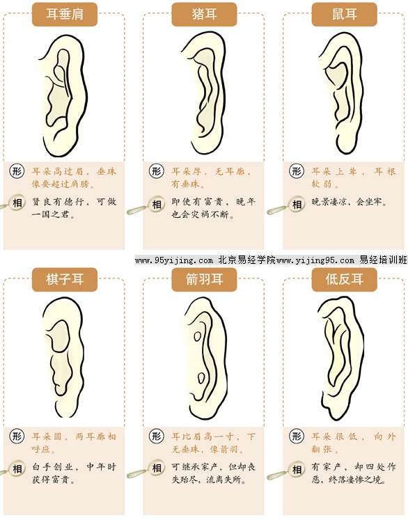 看面相图解五官_男人五官面相图解大全_面相算命图解大全 五官