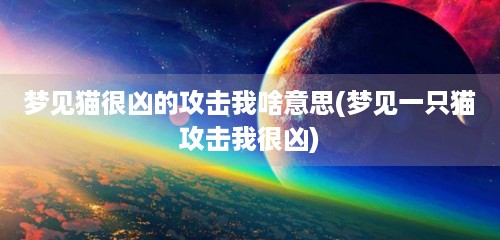 梦见猫很凶的攻击我啥意思(梦见一只猫攻击我很凶)