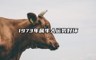 1973年属牛人运势好坏 1973年属牛人2021年运势及运程每月运程