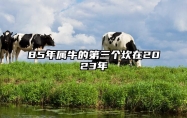 85年属牛的第三个坎在2023年 