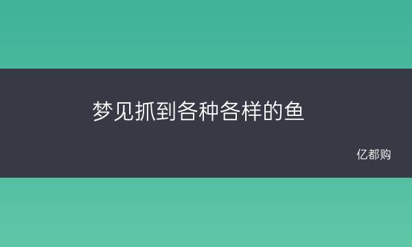 梦见抓到各种各样的鱼 做梦梦到各种各样的鱼是什么意思