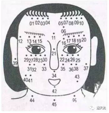 看眉毛面相大全图解_面相眉毛图解_面相眉毛算命图解