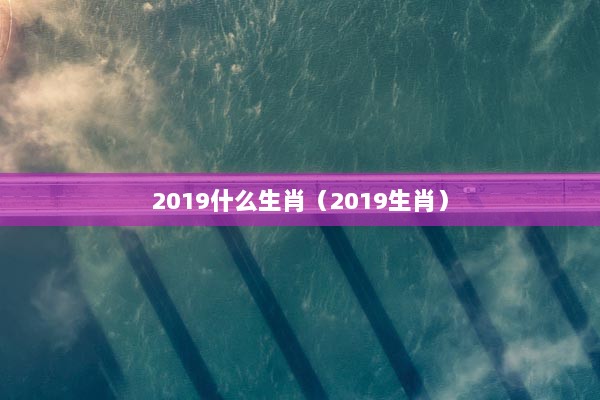 2019什么生肖（2019生肖）