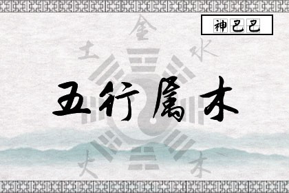 八字木多_木命八字缺木怎么办_八字偏弱八字喜木